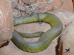 Haus des Meeres 4.02.2026